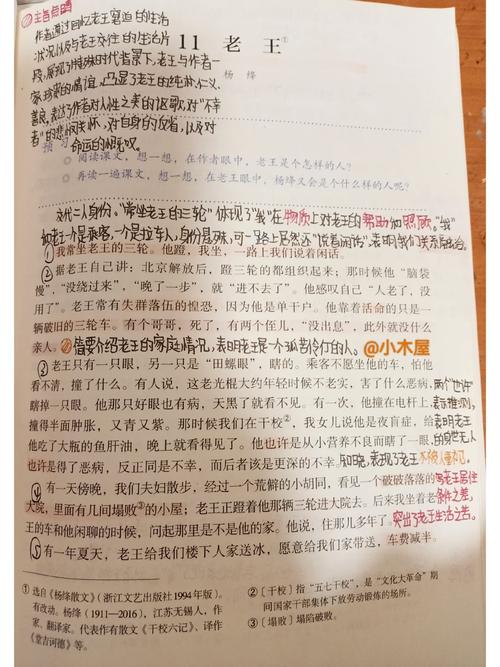 老王的文学常识，作者如何通过细节塑造平凡人物的人性光辉？-图3