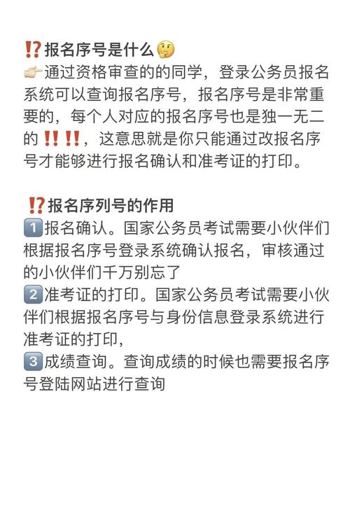 国考报名序号仅是报名凭证吗？它对后续考试流程还有哪些关键作用？-图2