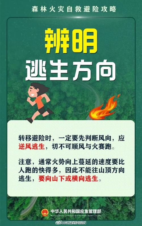 野外火灾突发时，这些自救常识能救命吗？-图3