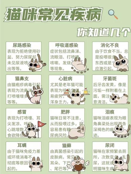 夏季学生卫生常识,高温环境下如何有效预防常见疾病?-图1 夏季学生卫生常识,高温环境下如何有效预防常见疾病?-图1