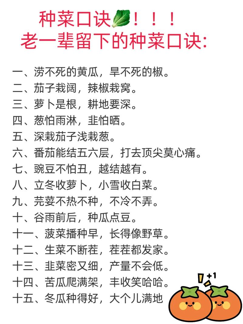 蔬菜安全常识句子-图3