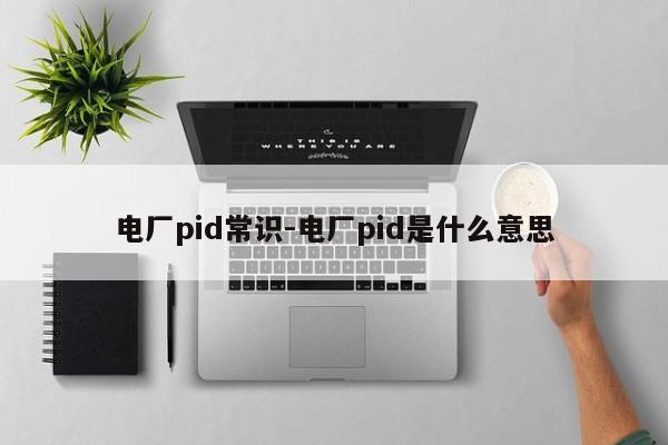 电厂pid常识-电厂pid是什么意思-图1 电厂pid常识-电厂pid是什么意思-图1